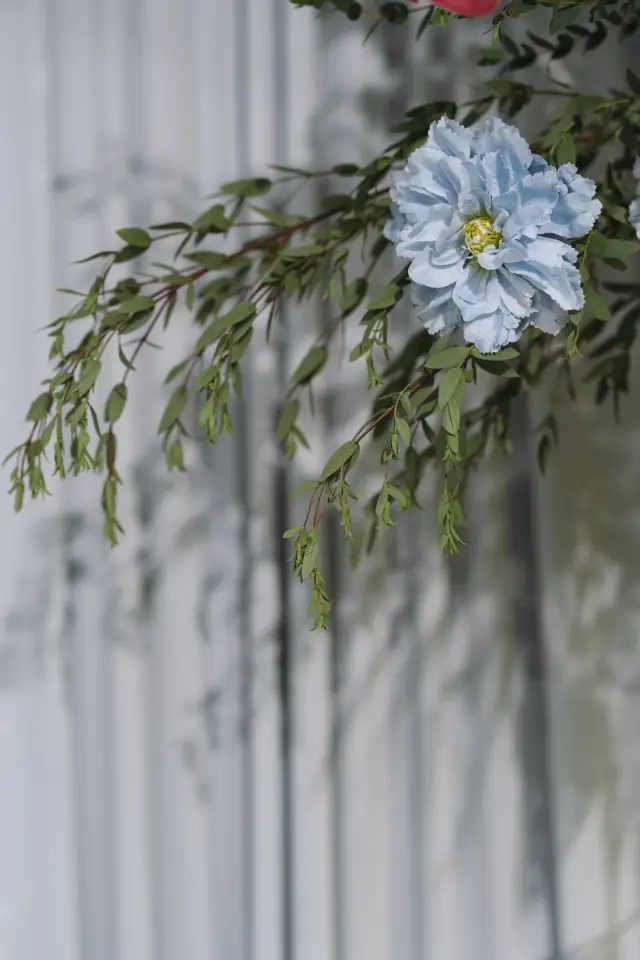 Ảnh 60 của Lễ 1