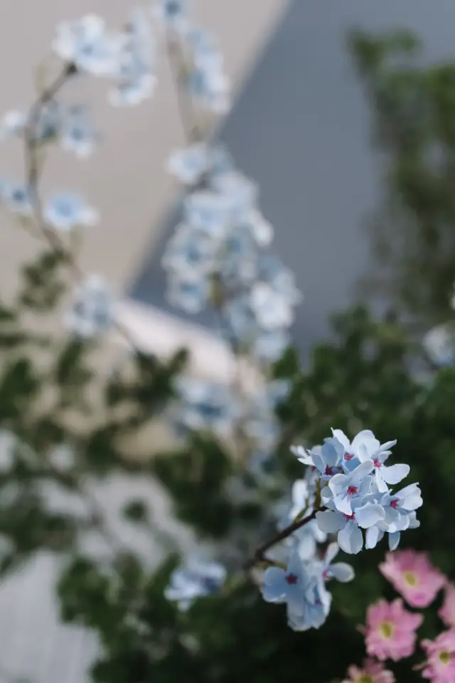 Ảnh 61 của Lễ 1
