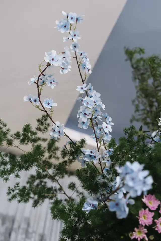 Ảnh 62 của Lễ 1