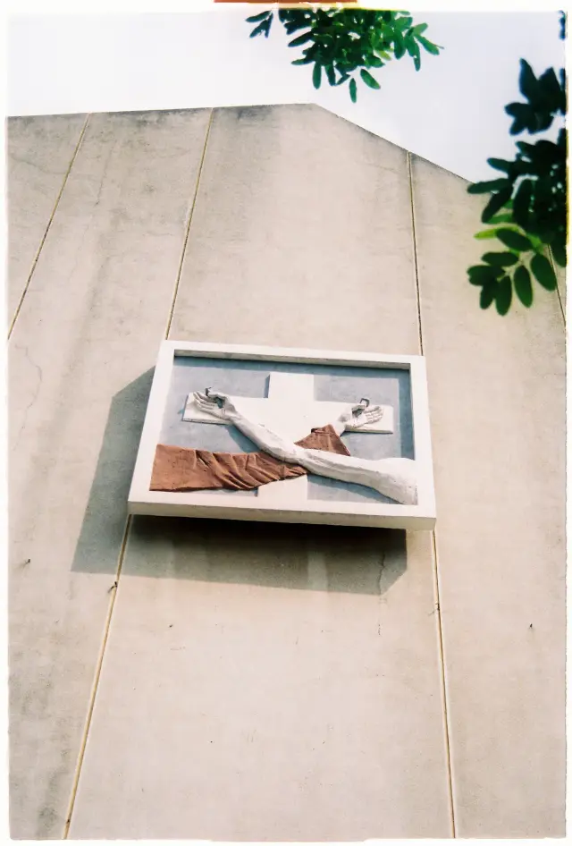 Ảnh 2 của May Film