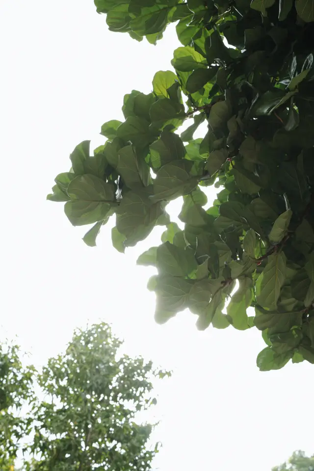 Ảnh 3 của May 1